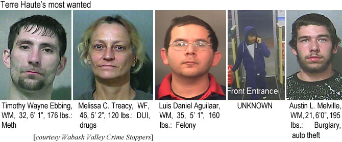 mstreacy.jpg Terre Haute's most wanted: Timothy Wayne Ebbing, WM, 32, 6'1", 176 lbs, meth; Melissa C. Treacy WF, 46, 5'2", 120 lbs, DUI, drugs; Luis Daniel Aguilar, WM, 35, 5'1", 160 lbs, felony; Ftont Entrance UNKNOWN; Austin L. Melville, WM, 21, 6'0", 195 lbs, burglary, auto theft (Wabash Valley Crime Stoppers)