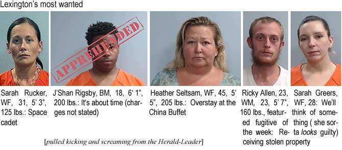 sararuck.jpg Lexington's most wanted: Sarah Rucker, WF, 31, 5'3", 125 lbs, space cadet; J'Shan Rigsby, BM, 18, 6'1", 200 lbs, it's about time (charges not stated); Heather Seltsam, WF, 45, 5'5", 205 lbs, overstay at the China Buffet; Ricky Allen, 23, WM, 23, 5'7", 160 lbs, featured fugitive of the week, receiving stolen property; Sarah Greers, WF, 28, we'll think of something (she sorta looks guilty) (pulled kicking and screaming from the Herald-Leader)
