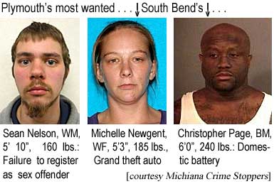 Plymouth's most wanted: Sean Nelson, WM, 5'10", 160 lbs, failure to register as sex offender; South Bend's: Michelle Newgent, WF, 5'3", 185 lbs, grand theft auto; Christopher Page, BM, 6'0", 240 lbs, domestic battery (Michiana Crime Stoppers)