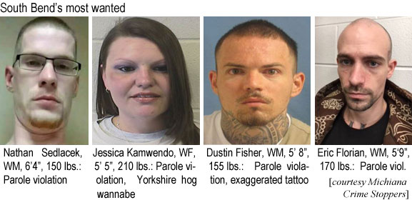 sedlacek.jpg South Bend's most wanted: Nathan Sedlacek, WM, 6'4", 150 lbs, parole violation; Jessica Kamwendo, WF, 5'5", 210 lbs, parole violation, Yorkshire hog wannabe; Dustin Fisher, WM, 5'8", 155 lbs, parole violation, exaggerated tattoo; Eric Florian, WM, 5'9", 170 lbs, parole violation (Michiana Crime Stoppers)