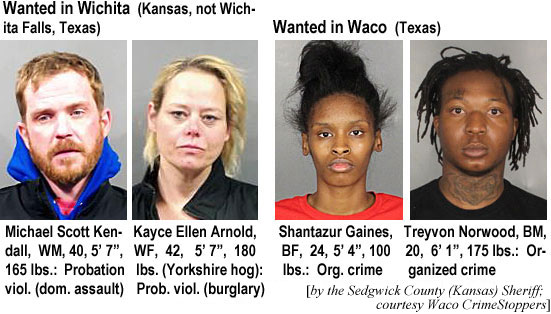 shantazr.jpg Wante4d in Wichita (Kansas, not Wichita Falls,Texas): Michael Scott Kendall, WM,40, 5'7", 165 lbs, probation viol. (dom. assault); Kayce Ellen Arnold, WF, 42, 5'7", 180 lbs, probation violation (burglary); Wanted in Waco, Texas: Michael Scott Kendall, WM, 40, 5'7", 165 lbs, probation viol (dom. assault); Kayce Ellen Arnold, WM, 42, 5'7", 180 lbs (Y. hog., pro. vi. (burglary); Wanted in Waco (Texas): Shantazur Gaines, BF, 24, 5'4", 100 lbs, org. crime; Treyvon Norwood, BM, 20, 6'1", 175 lbs, organized crime (Sedgwick County (Kansas) Sheriff, Waco Crime Stoppers)