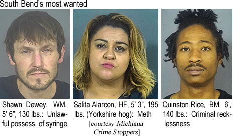 shawndew.jpg South Bend's most wanted: Shawn Dewey, WM, 5'6", 130 lbs, unlawful poss. of syringe; Salita Alarcon, HF, 5'3", 195 lbs (Yorkshire hog), meth; Quinston Rice, BM, 6', 140 lbs, criminal recklessness (Michiana Crime Stoppers)