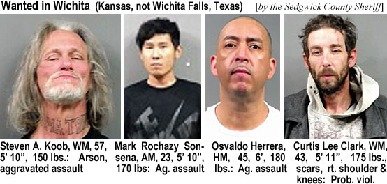 stevknob.jpg Arrested in Wicita (Kansas, not Wichita Falls, Texas) (by the Sedgwick County Sheriff): Steven A. Koob, WM, 57, 5'10", 150 lbs, arson, aggravated assault; Mark Rochazy Sonsena, AM, 23, 5'10", 170 lbs, Ag. assault; Osvaldo Herrera, HM, 45, 6', 180 lbs, ag. assault; Curtis Lee Clark, WM, 43, 5'11", 175 lbs, scars, rt shoulder & knees, prob. viol.