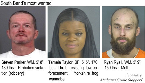 tamieaty.jpg South Bend's most wanted: Steven Parker, WM, 5'8", 180 lbs, probation violation (robbery); Tameia taylor, BF, 5'5", 170 lbs, theft, resistaing law enforcement, Yorkshire hog wannabe; Ryan Ryall, WM, 5'9", 150 lbs, meth (Michiana Crime Stoppers)