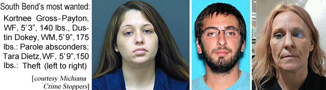 taraditz.jpg South Bend's most wanted: Kortnee Gross-Payton, WF, 5'3", 140 lbs; Dustin Dokey, WM, 5'9", 175 lbs, parole absconders; Tara Dietz, WF, 5'9", 150 lbs, Theft (Michiana Crime Stoppers)