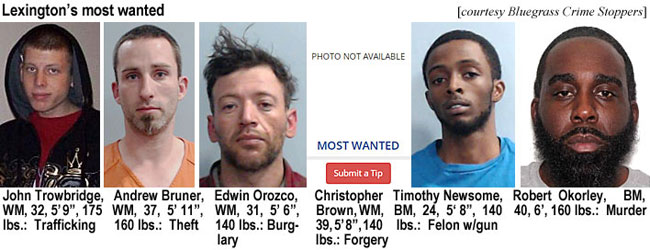 trowbrid.jpg Lexington's most wanted (Bluegrass Crime Stoppers): John Trowbridge, WM, 32, 5'9", 175 lbs, traffricking; Andrew Bruner, WM, 37, 5'11", 160 lbs, theft; Edwin Orozco, WM, 31, 5'6", 140 lbs, burglary; photo not available, most wanted, submit a tip Christopher Brown, WM, 39, 5'8", 140 lbs, forgery; Timothy Newsome, BM, 24, 5'8", 140 lbs, felon w/gun; Robert Okorley, BM, 40, 6', 160 lbs, murder