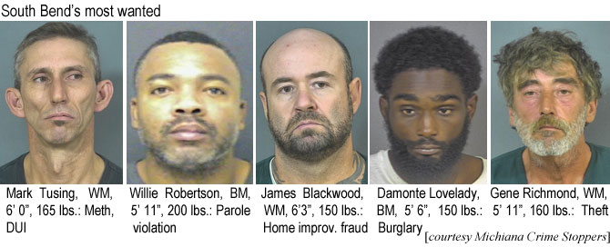 tusingwl.jpg South Bend's most wanted: Mark Tusing,WM, 6'0", 165 lbs, Meth, DUI; Willie Robertson, BM, 5'11", 200 lbs, parole violation; James Blackwood, WM, 6'3", 150 lbs, home improv. fraud; Damonte Lovelady, BM, 5'6", 150 lbs, burglary; Gene Richmond, WM, 5'11", 160 lbs, theft (Michiana Crime Stoppers)