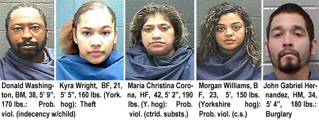 washingt.jpg Donald Washington, BM, 38, 5'9", 170 lbs, prob. viol. (indecency w/child); Kyra Wright, BF, 21, 5'5", 160 lbs (York. hog), theft; Maria Christina Corona, HF, 42, 5'2", 190 lbs (Y. hog), prob. viol.(ctrld. substs.); Morgan Williams, WF, 23, 5', 150 lbs (Yorkshire hog), prob. viol. (c.s.); John Gabriel Hernandez, HM, 34, 5'4", 180 lbs, burglary