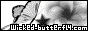 Wicked Butterfly