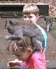 Hey! There's a monkey on my head!