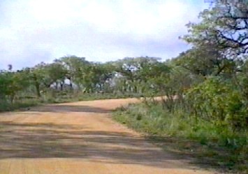 Caught on video.  Click to see fire near the road.