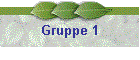 Gruppe 1