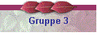 Gruppe 3