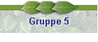 Gruppe 5
