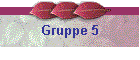 Gruppe 5