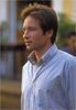 david duchovny in return to me