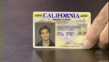 noah wyle driver's license