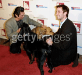 noah wyle dogs