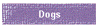 Dogs