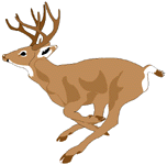 deer2.gif