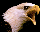 eagle4.gif