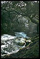 A stream in Dartmoor