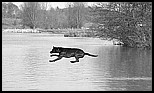 Jumping the Thames