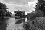 The Vyne