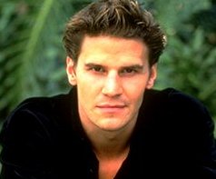 BIOS: David Boreanaz