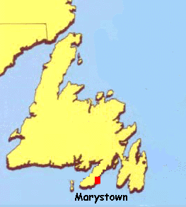 nfld.gif (32100 bytes)