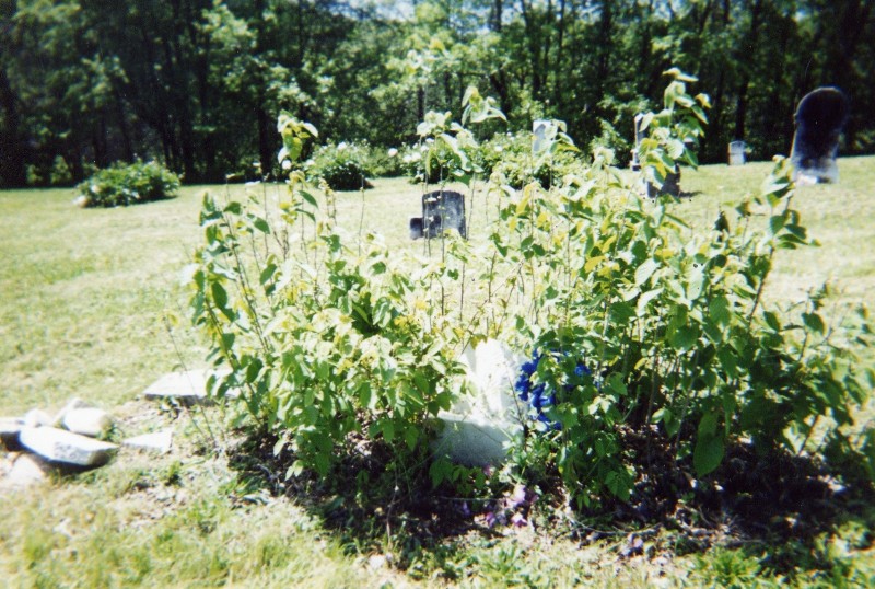 Sep18010.JPG (851445 bytes)