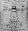 vitruvian-s.jpg (12816 bytes)