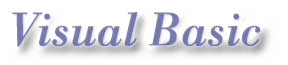 Visual Basic