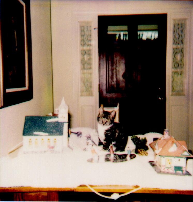 rover3.jpg (62810 bytes)