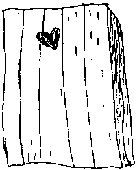 [Ilustracija Nikoline Ivezi�]