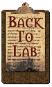 Return To The Laboratory!