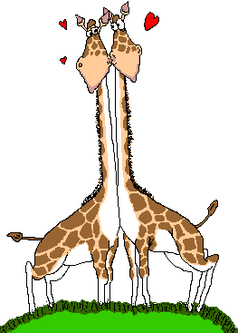 neckingGiraffes