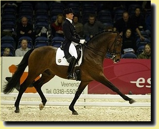 dressage7.jpg