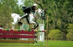 eventing-photo-1.jpg