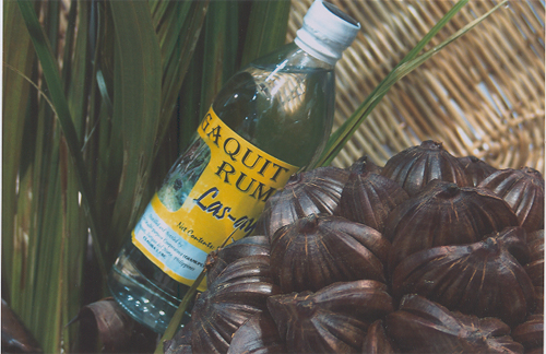 Gigaquit Rum in bottle