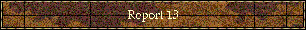 Report 13