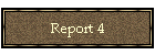 Report 4