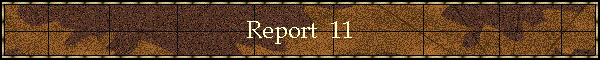 Report  11