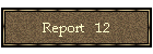 Report   12