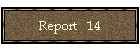 Report   14