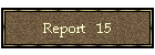 Report   15