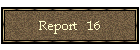Report   16