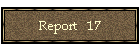 Report   17