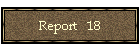 Report   18