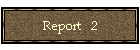 Report   2